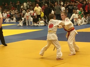 Collin vitt 2018